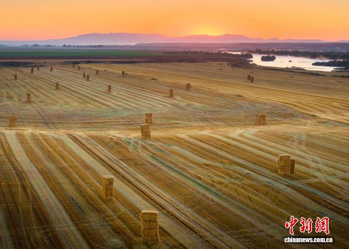 新疆昭苏垦区麦收“丰”景如画 新疆昭苏垦区麦收“丰”景如画