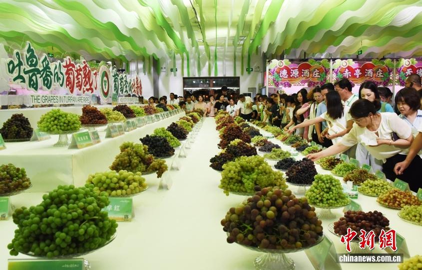 【这个城市有点潮】新疆吐鲁番:“萄”气值拉满 极致温差下的“甜蜜热恋” 【这个城市有点潮】新疆吐鲁番:“萄”气值拉满 极致温差下的“甜蜜热恋”